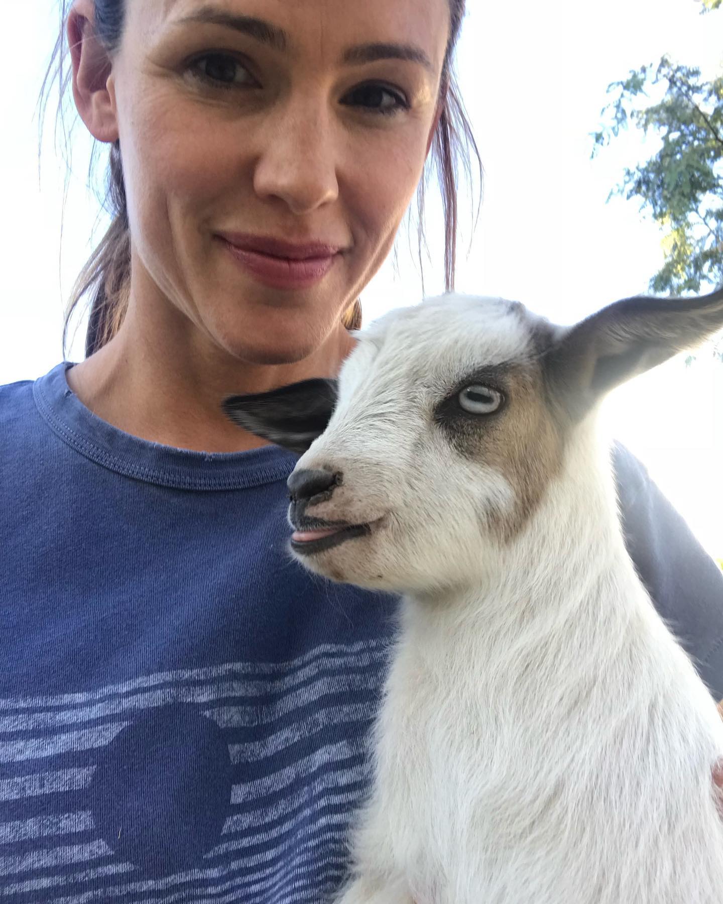 Jennifer Garner — photograph 2